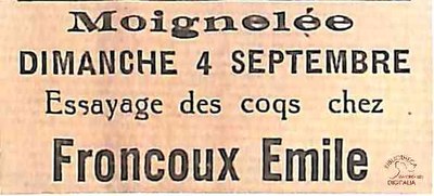 Moignelée : essayage des coqs chez FRONCOUX Emile