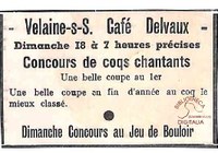 Concours de Coqs chantants à Velaine-sur-Sambre au café DELVAUX