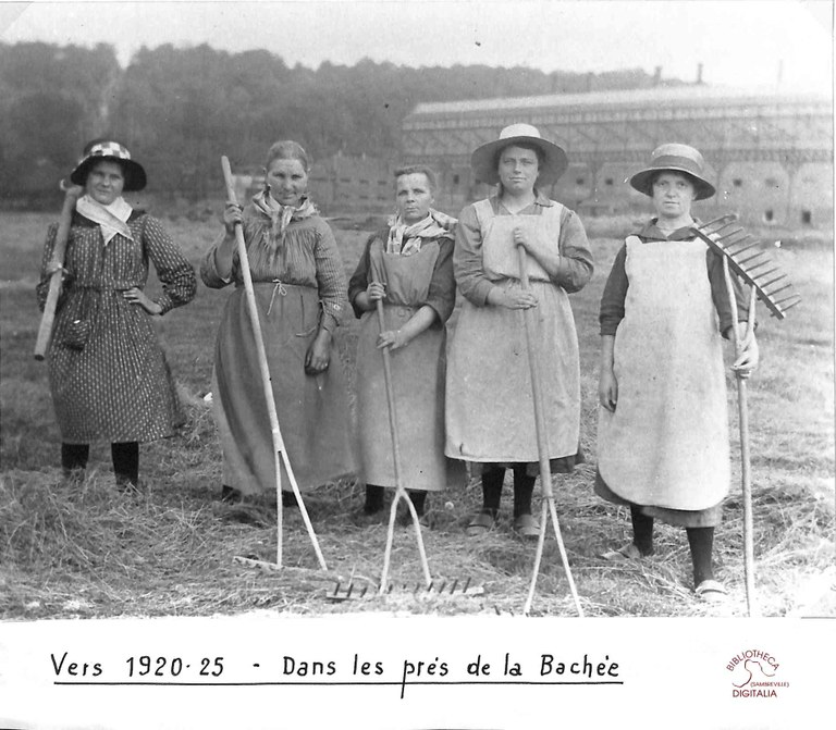 Auvelais : la fenaison dans les prés de la Bachée