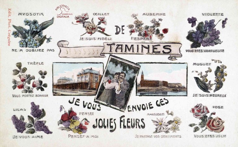 Carte postale Tamines : "Je vous envoie ces jolies fleurs".