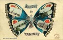 Tamines : Souvenir de Tamines