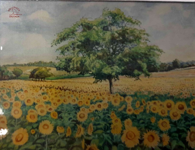 Aquarelle de M. Nestor HENNUY