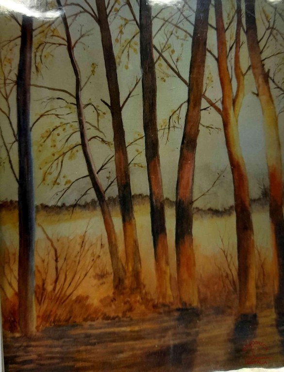 Aquarelle de M. Nestor HENNUY