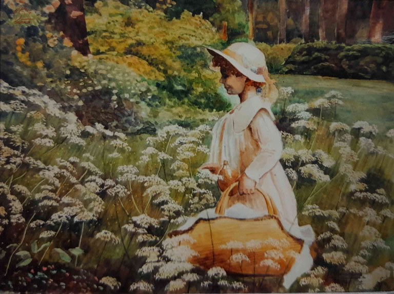 Aquarelle de M. Nestor HENNUY