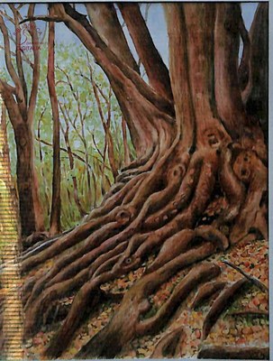 Aquarelle de M. Nestor HENNUY
