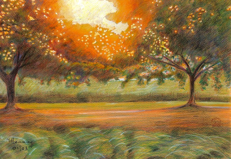 Dessin aux crayons gras M. Nestor HENNUY