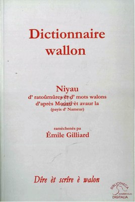 Dictionnaire wallon. Niyau d'ratoûrnûres èt d'mots walons d'après Moustî èt avaur la (payis d'Nameur)