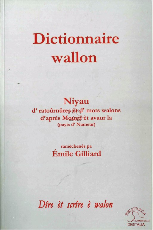 Dictionnaire wallon. Niyau d'ratoûrnûres èt d'mots walons d'après Moustî èt avaur la (payis d'Nameur)