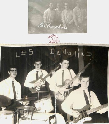Les Dauphins