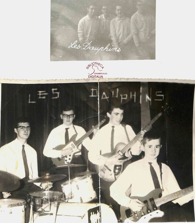 Les Dauphins