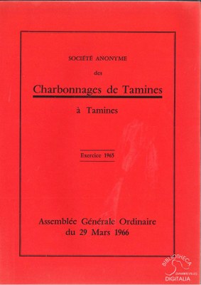 Société anonyme des Charbonnages de Tamines à Tamines  - Exercice 1965