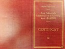 Certificat d'étude de l'école industrielle,  commerciale et de sauvetage de Tamines, année scolaire 1949-1950 au nom de DUCHESNE Lambert