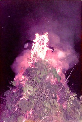 Grand feu