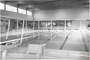 Auvelais : piscine communale
