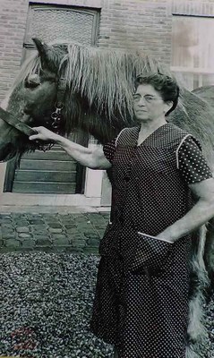 Tamines : Chaussée de Namur. Chez Marie